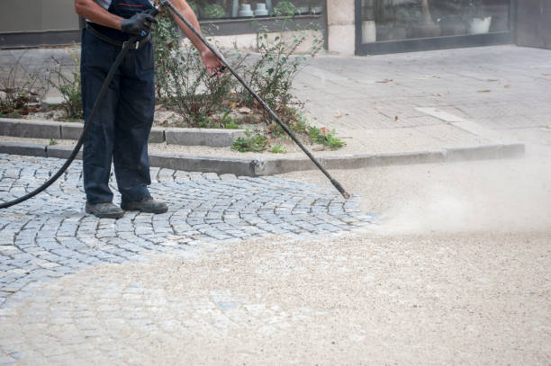 Best Warehouse Cleaning  in Rainbow Lakes Estates, FL