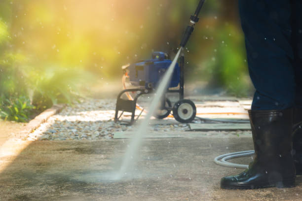 Best Soft Washing  in Rainbow Lakes Estates, FL